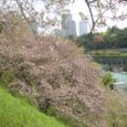 14april2006_019